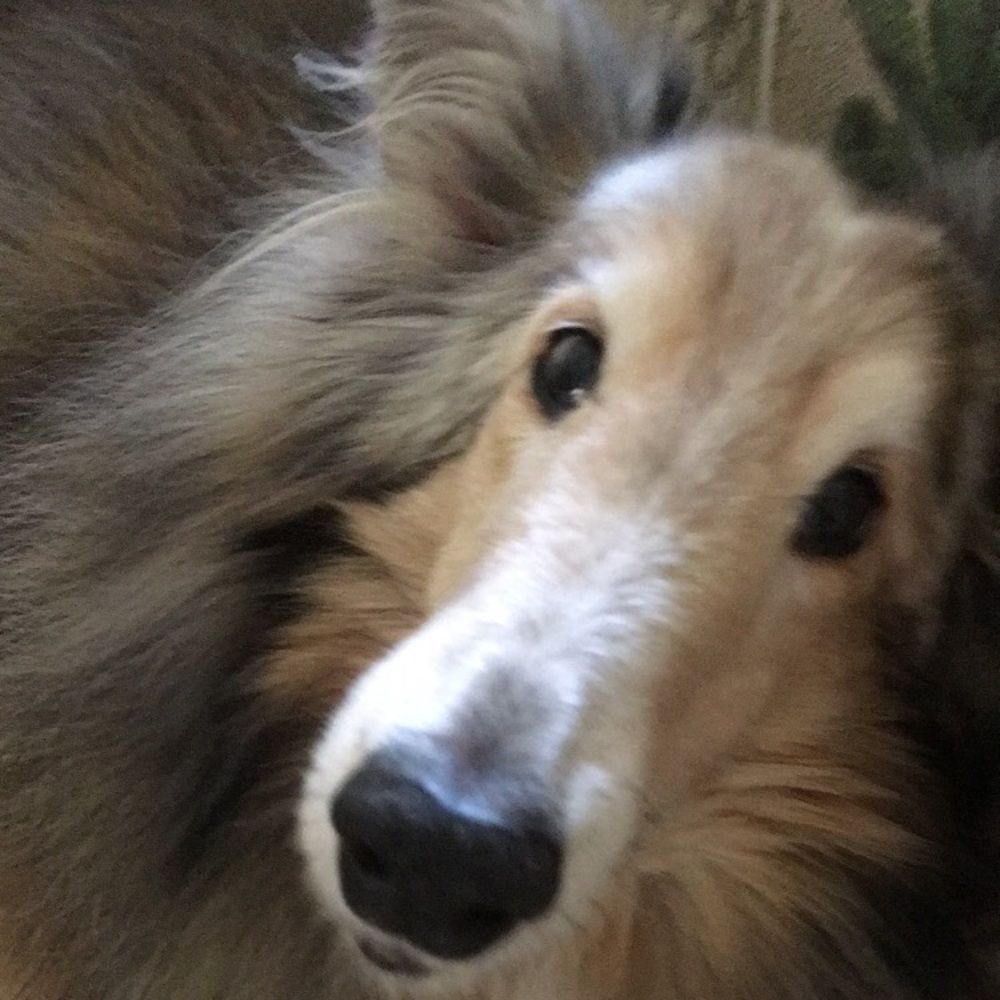 Meet your Posher, Mark